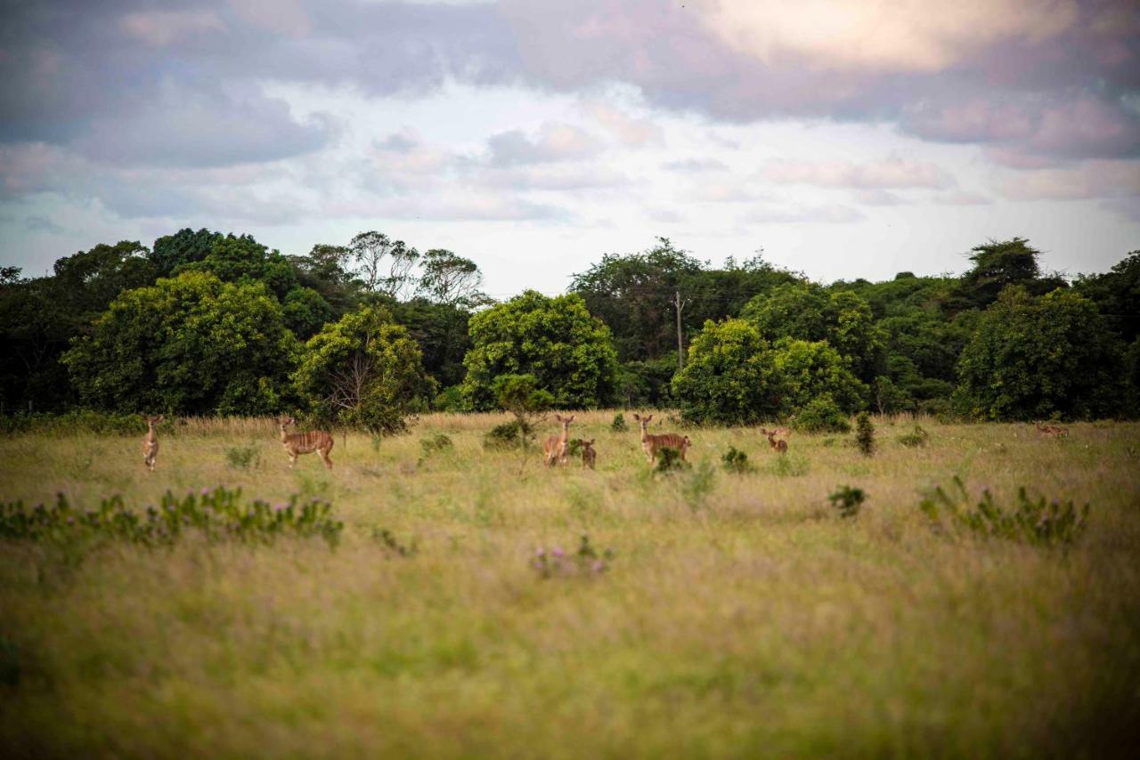 Gooderson Bushlands Game Lodge Hluhluwe Eksteriør billede