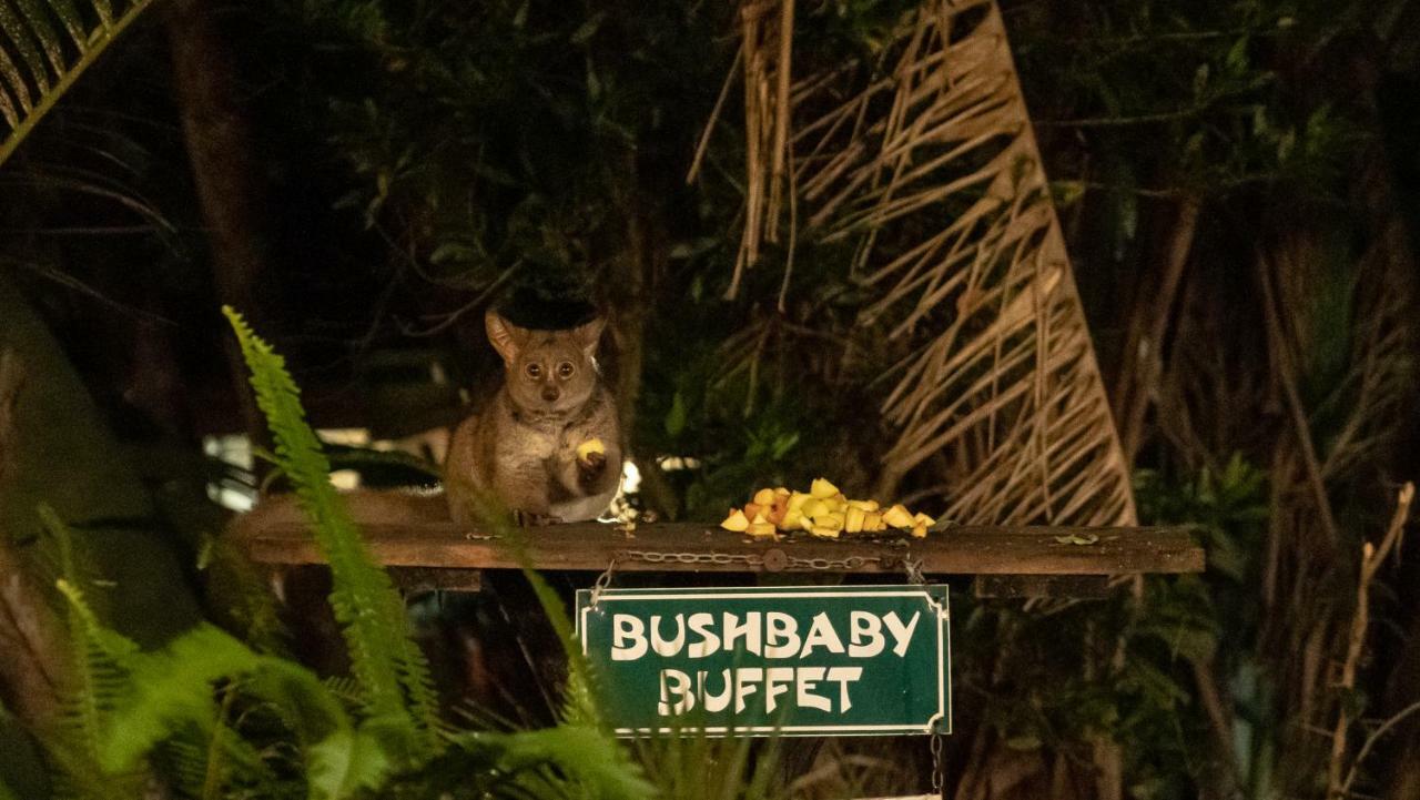 Gooderson Bushlands Game Lodge Hluhluwe Eksteriør billede